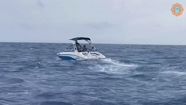 Eight people rescued from sinking boat after running low on fuel in rough Miami waters Hobart Accountants